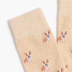 画像2: J.CREW  Corgi socks (2)