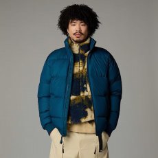 画像2: 予約商品 THE NORTH FACE   Down Paralta Puffer Jacket (2)