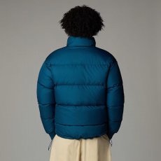 画像3: 予約商品 THE NORTH FACE   Down Paralta Puffer Jacket (3)