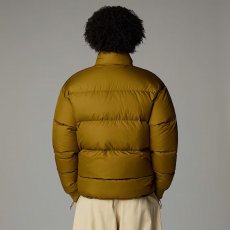 画像3: 予約商品 THE NORTH FACE   Down Paralta Puffer Jacket (3)