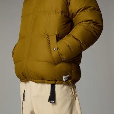 画像5: 予約商品 THE NORTH FACE   Down Paralta Puffer Jacket (5)