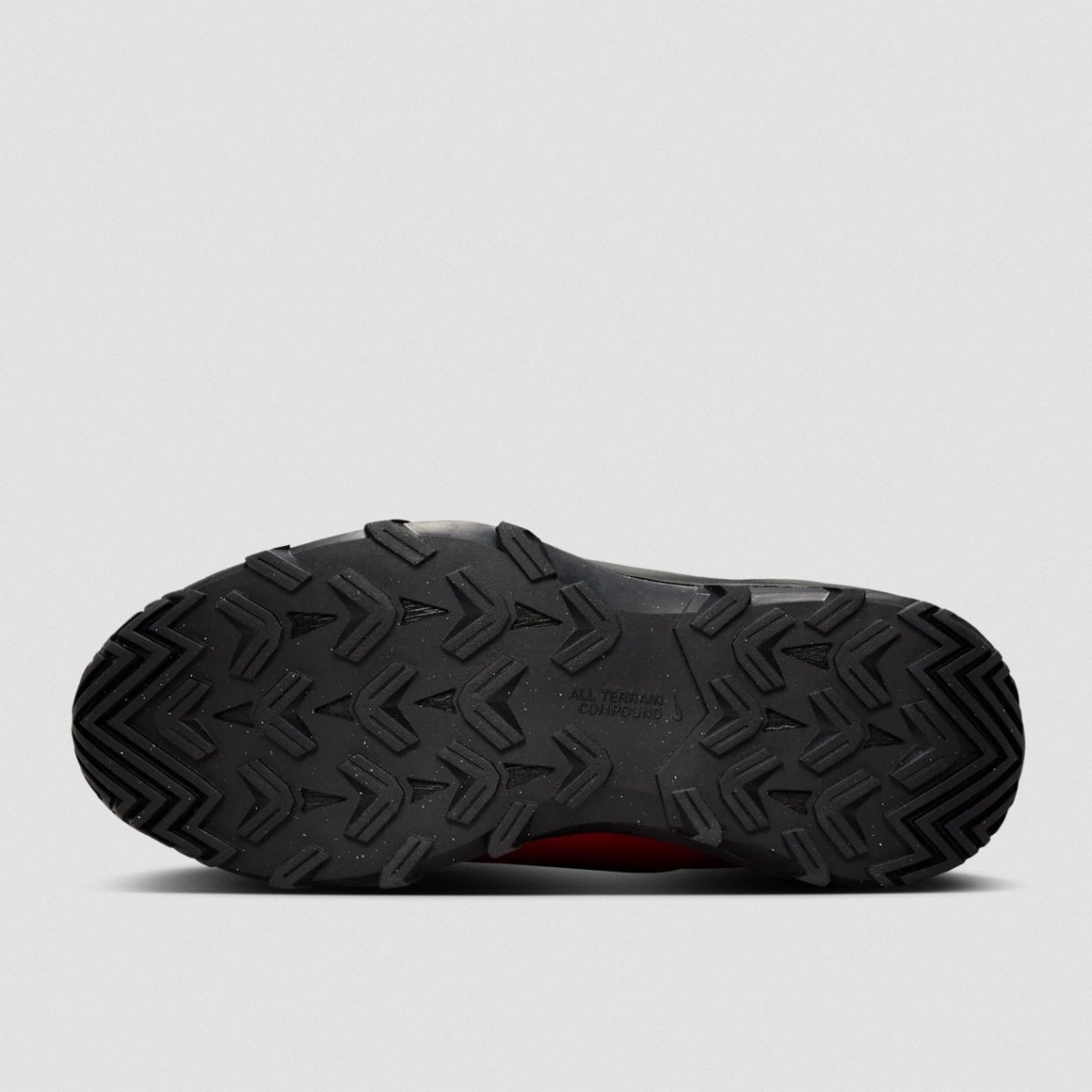 画像6: 予約商品 NIKE   Cygnal University Red (6)