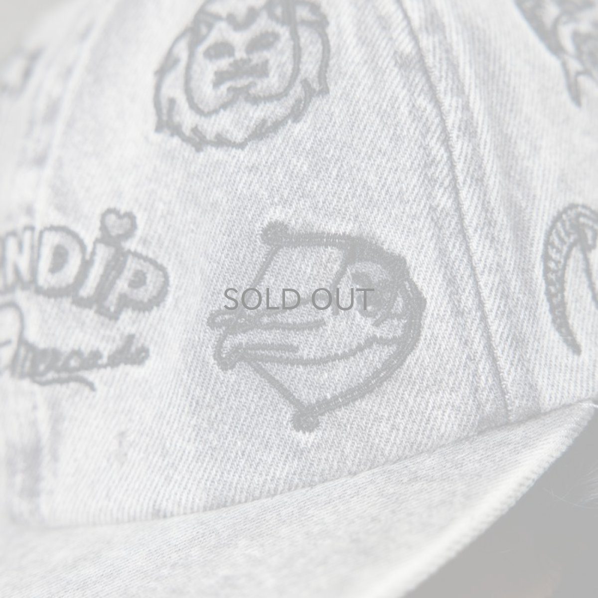 画像6: RIPNDIP   Zodiac Mucho 6 Panel Cap (6)