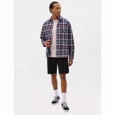 画像3: 予約商品 Dickies   Slim Fit Shorts (3)