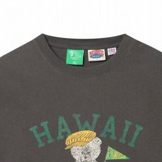 画像2: NUTMEG   University of Hawaii Vintage Bear Big T-Shirt  (2)