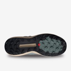 画像5: 予約商品 SALOMON   Genesis Advanced (5)