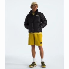 画像4: 予約商品 THE NORTH FACE   Expedition 1996 Retro Nuptse Jacket (4)