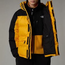 画像3: 予約商品 THE NORTH FACE   Hmlyn Down Parka (3)