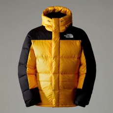 画像6: 予約商品 THE NORTH FACE   Hmlyn Down Parka (6)