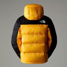 画像7: 予約商品 THE NORTH FACE   Hmlyn Down Parka (7)