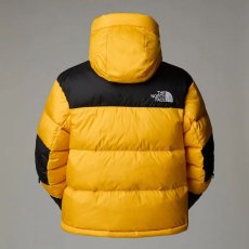 画像6: 予約商品 THE NORTH FACE   Hmlyn Baltoro Jacket (6)