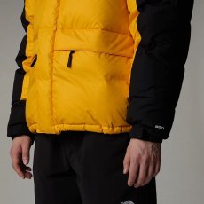 画像10: 予約商品 THE NORTH FACE   Hmlyn Down Parka (10)
