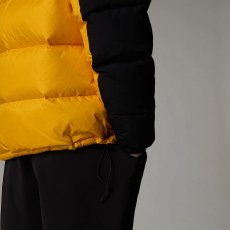 画像11: 予約商品 THE NORTH FACE   Hmlyn Down Parka (11)