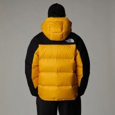 画像4: 予約商品 THE NORTH FACE   Hmlyn Down Parka (4)