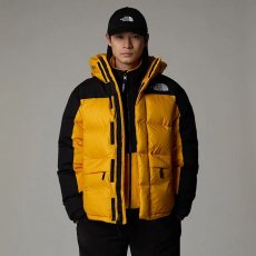 画像2: 予約商品 THE NORTH FACE   Hmlyn Down Parka (2)