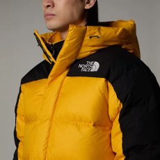 画像9: 予約商品 THE NORTH FACE   Hmlyn Down Parka (9)