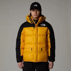 画像1: 予約商品 THE NORTH FACE   Hmlyn Down Parka (1)