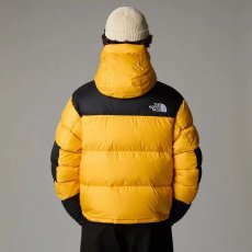 画像3: 予約商品 THE NORTH FACE   Hmlyn Baltoro Jacket (3)