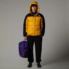画像5: 予約商品 THE NORTH FACE   Hmlyn Down Parka (5)