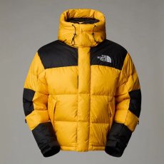 画像5: 予約商品 THE NORTH FACE   Hmlyn Baltoro Jacket (5)