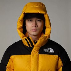 画像8: 予約商品 THE NORTH FACE   Hmlyn Down Parka (8)
