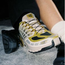 画像7: 予約商品 SALOMON   Acs Pro 20Y (7)