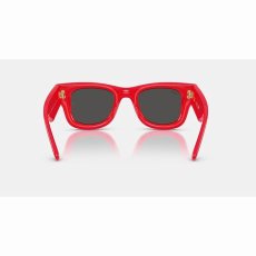 画像6: 予約商品 Ray-Ban   A$AP Rocky Wayfarer Puffer  (6)