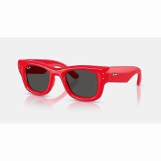 画像3: 予約商品 Ray-Ban   A$AP Rocky Wayfarer Puffer  (3)
