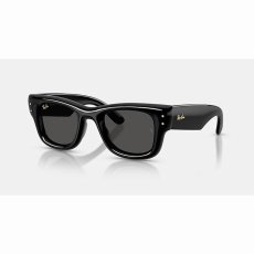 画像3: 予約商品 Ray-Ban   A$AP Rocky Wayfarer Puffer  (3)