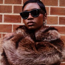 画像7: 予約商品 Ray-Ban   A$AP Rocky Wayfarer Puffer  (7)