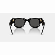 画像6: 予約商品 Ray-Ban   A$AP Rocky Wayfarer Puffer  (6)