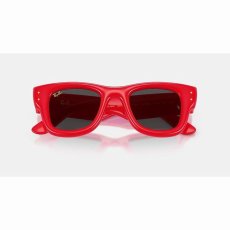 画像1: 予約商品 Ray-Ban   A$AP Rocky Wayfarer Puffer  (1)