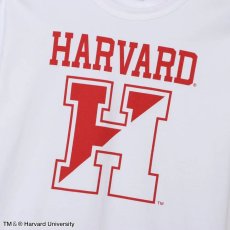 画像10: 予約商品 Champion Made in USA   T1011 Harvard University T-Shirt 4color (10)