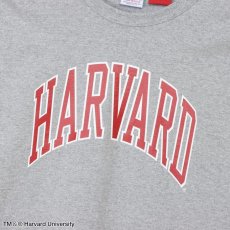 画像11: 予約商品 Champion Made in USA   T1011 Harvard University T-Shirt 4color (11)