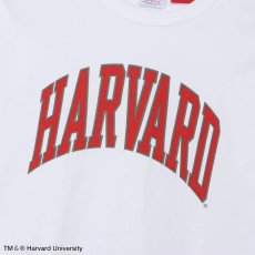 画像9: 予約商品 Champion Made in USA   T1011 Harvard University T-Shirt 4color (9)
