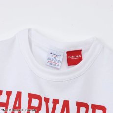 画像6: 予約商品 Champion Made in USA   T1011 Harvard University T-Shirt 4color (6)