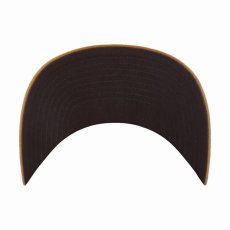 画像4: 予約商品 Carhartt x 47 BRAND   MLB Boston Red Sox '47 Trucker Cap (4)