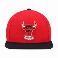 画像2: Mitchell & Ness   Chicago Bulls Hardwood Classics Team Ground 2.0 Snapback  (2)