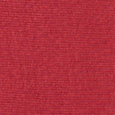 画像6: 予約商品 Champion   Reverse Weave Crewneck Sweatshirt Time Capsule Red (6)