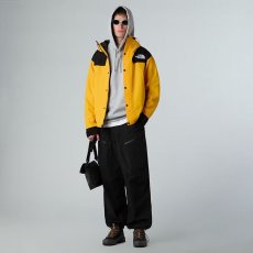 画像8: 予約商品 THE NORTH FACE   DRYVENT Mono Mountain Jacket 2color (8)