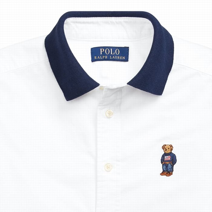polo bear dress shirt