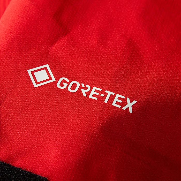 画像13: 予約商品 THE NORTH FACE   Jazzi 3L GORE-TEX Jacket (13)